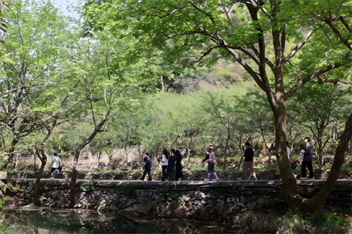 Happy Team Building en Zhong Yandang Mountain